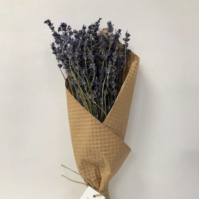 French-Lavender