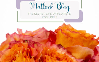 The Secret Life of Florists: A Rose’s Journey