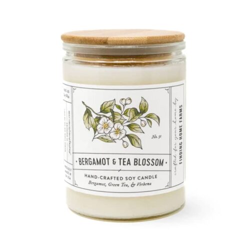 Bergamot-Tea-Blossom-11