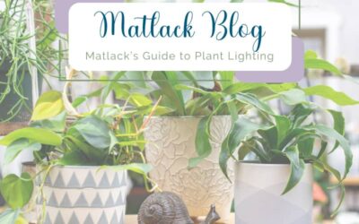 Matlack’s Guide to Plant Lighting