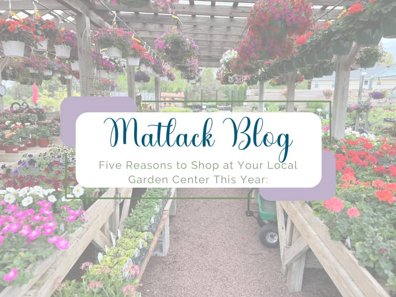 Five Reasons to Shop at Your Local Garden Center